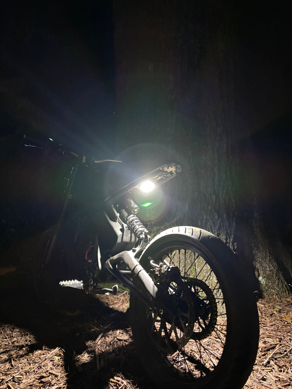 Plug & Play Talaria xxx Rocklight